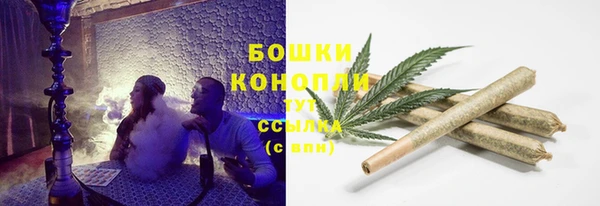 крисы Баксан