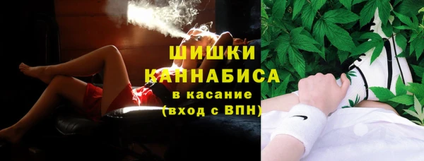 крисы Баксан