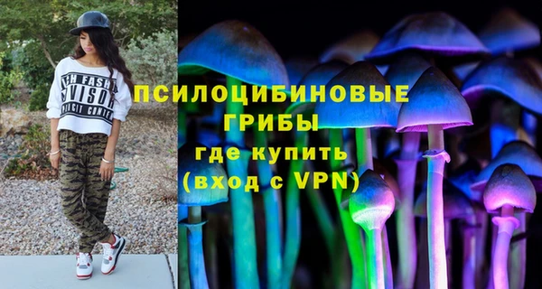 крисы Баксан