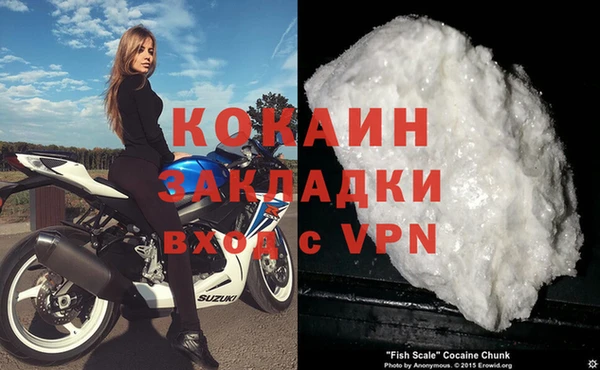 крисы Баксан