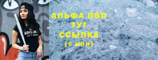 крисы Баксан