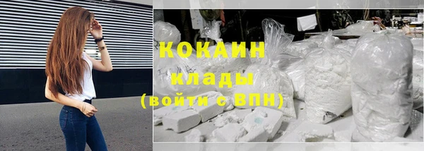 крисы Баксан